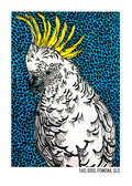 Tea Towel - Sulphur Crested