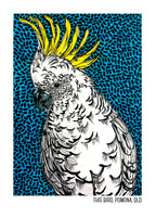 Tea Towel - Sulphur Crested