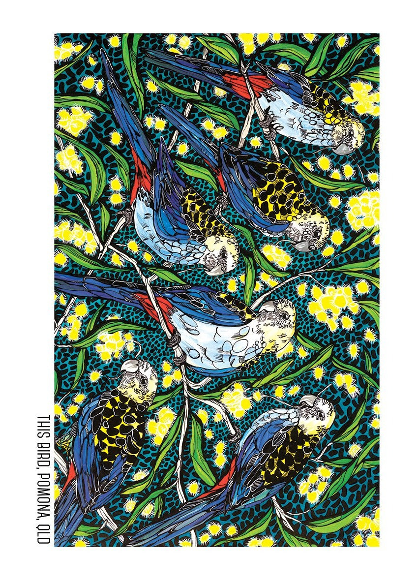 Tea Towel - Pale Headed Rosellas