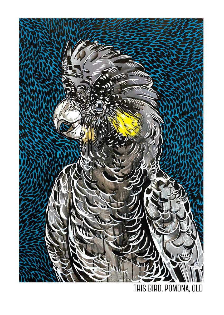 Tea Towel - Black Cockatoo