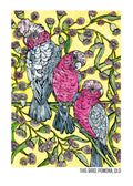 Tea Towel - Galahs & Flowering Gum