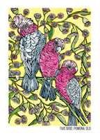 Tea Towel - Galahs & Flowering Gum