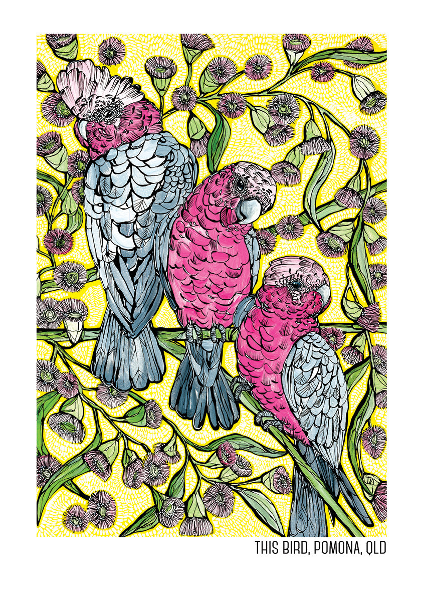 Tea Towel - Galahs & Flowering Gum